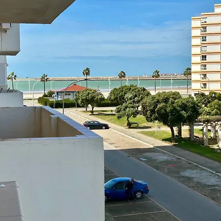 Gatu Maritimo 